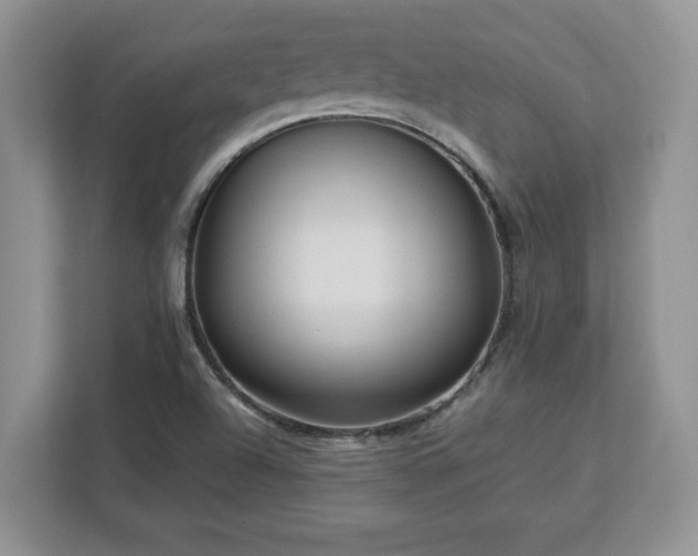 X0000113071504200908281144