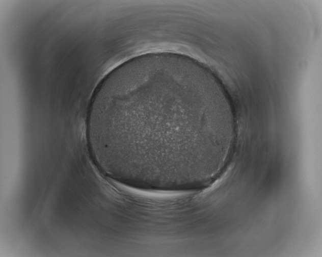 X0000113071505200908281144