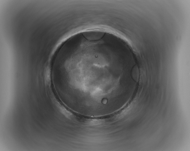 X0000113071506200908281144