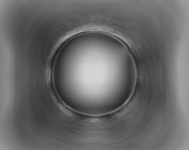 X0000113071507200908281144