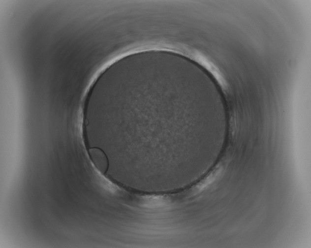 X0000113071508200908281144