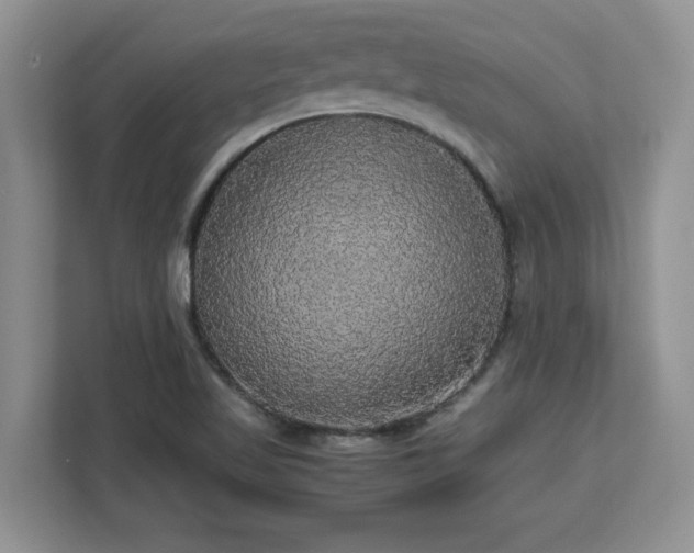 X0000113071509200908281144
