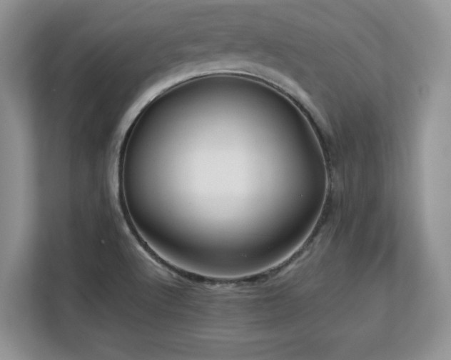 X0000113071512200908281144
