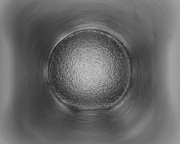 X0000113071513200908281144