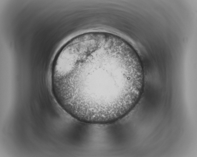 X0000113071514200908281144