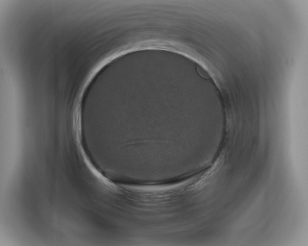 X0000113071515200908281144