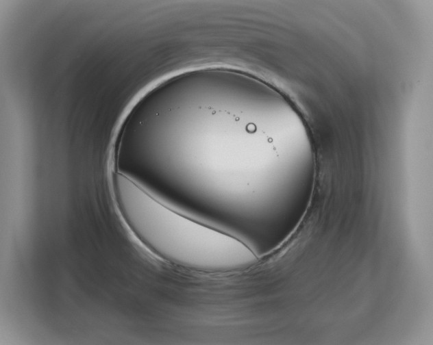 X0000113071516200908281144