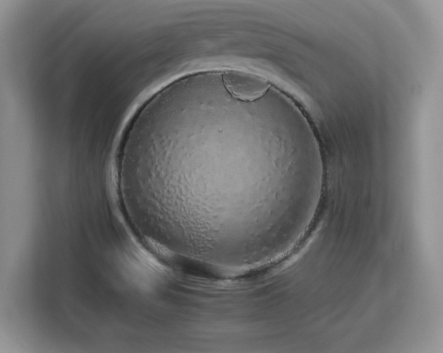 X0000113071517200908281144