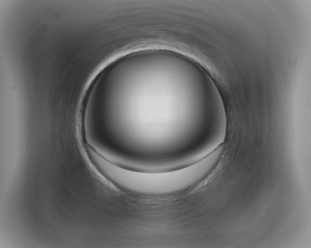 X0000113071518200908281144