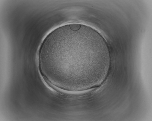 X0000113071519200908281144