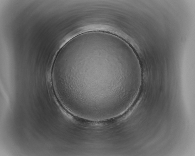 X0000113071521200908281144