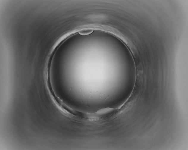 X0000113071523200908281144