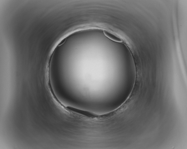X0000113071524200908281144