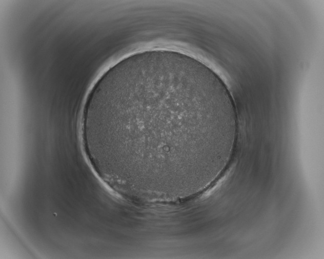 X0000113071525200908281144