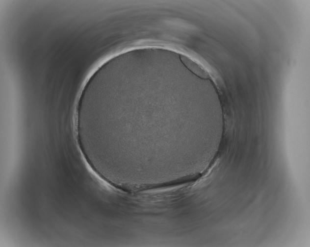 X0000113071527200908281144