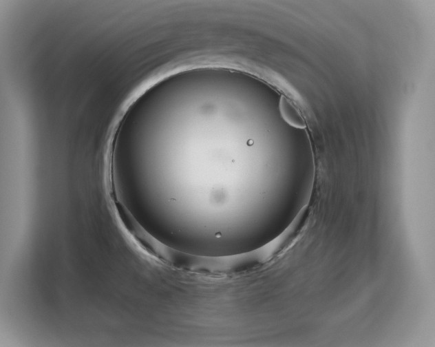 X0000113071528200908281144