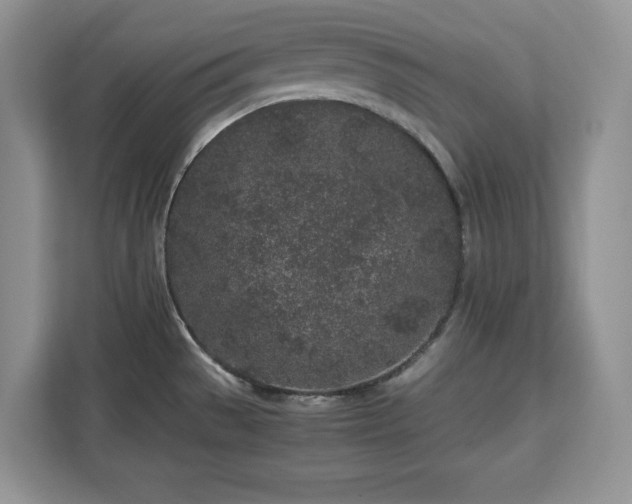 X0000113071529200908281144