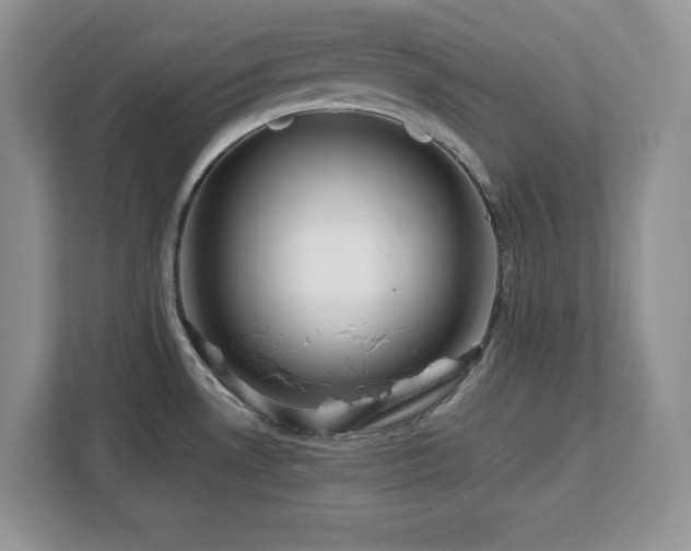 X0000113071530200908281144