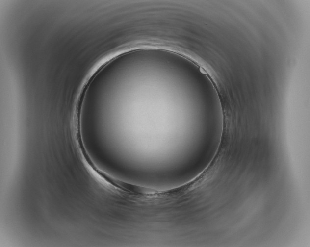 X0000113071531200908281144