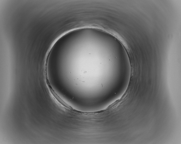 X0000113071532200908281144