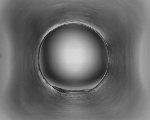 X0000113071534200908281144