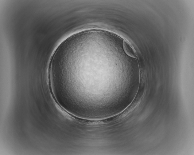 X0000113071535200908281144