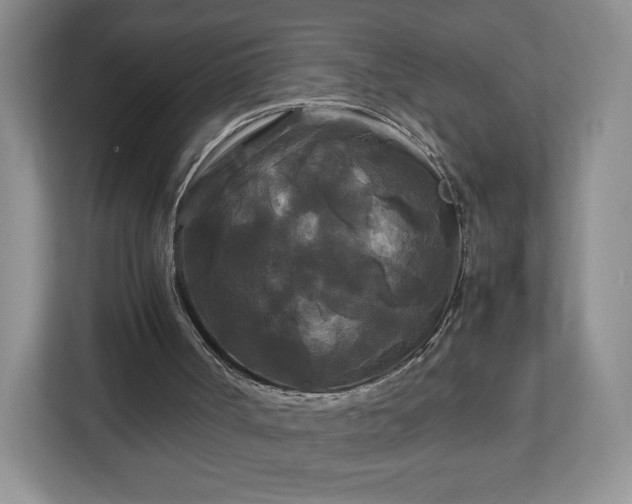 X0000113070002200909041107