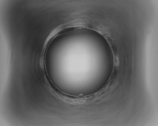 X0000113070004200909041107