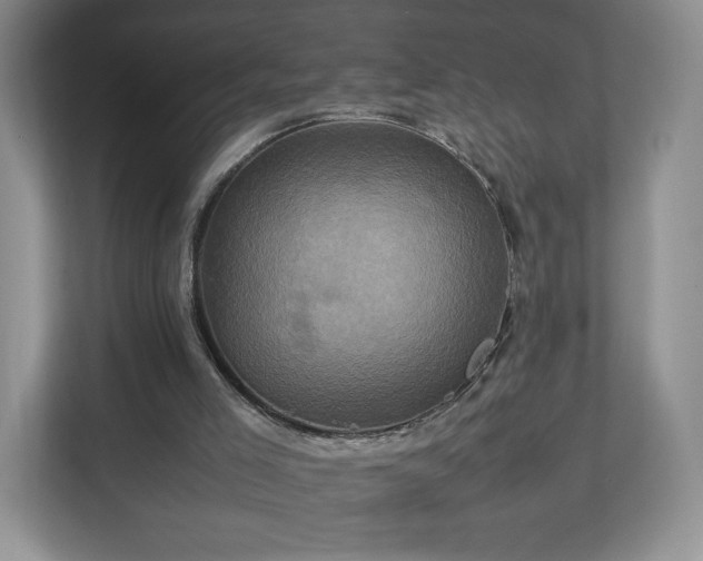 X0000113070005200909041107