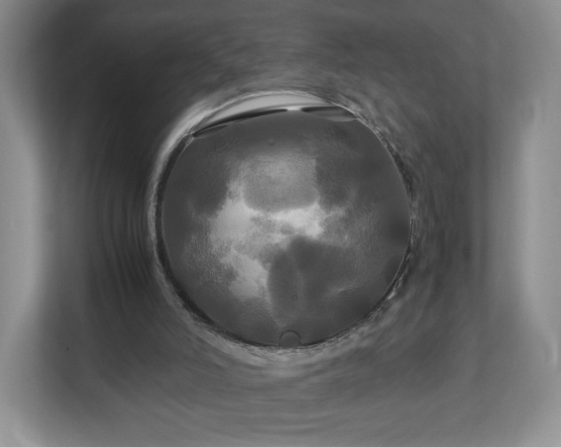 X0000113070006200909041107