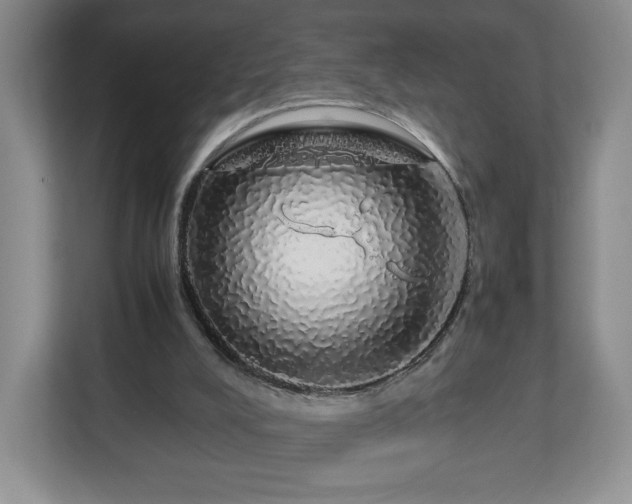 X0000113070008200909041107