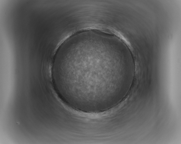 X0000113070010200909041107