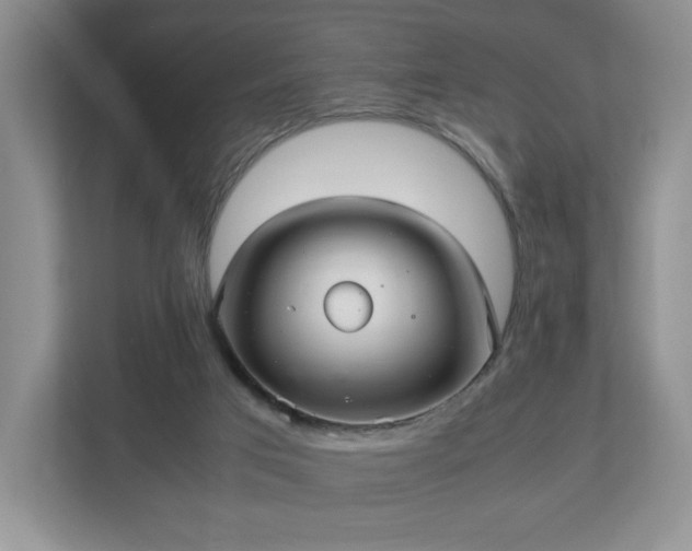 X0000113070017200909041107