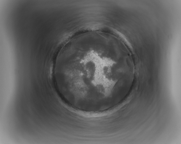 X0000113070018200909041107