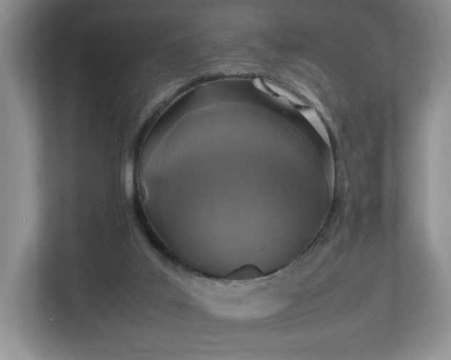 X0000113070019200909041107