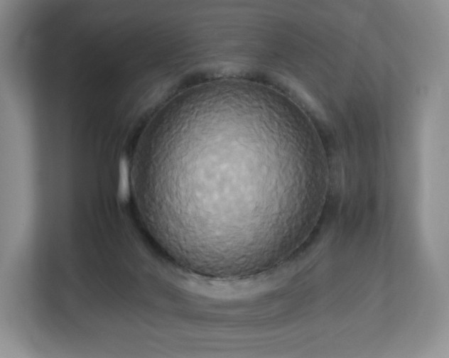 X0000113070022200909041107