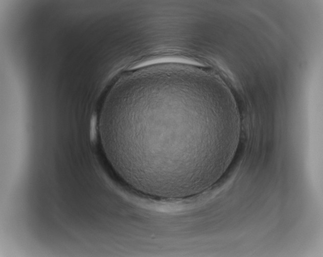 X0000113070024200909041107