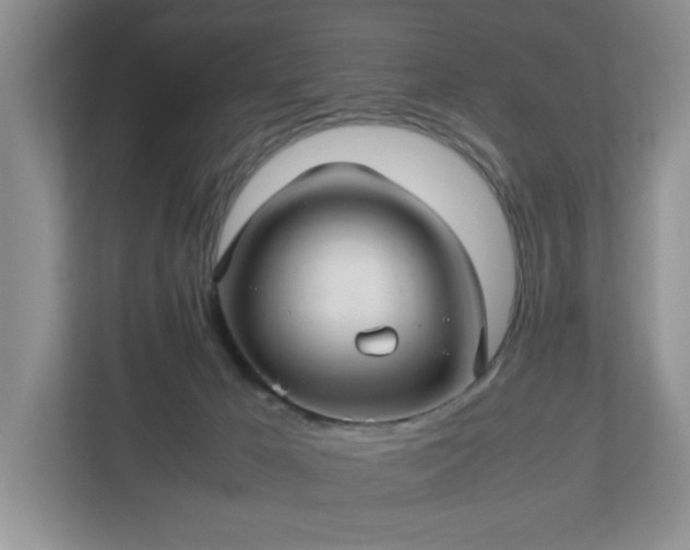 X0000113070029200909041107