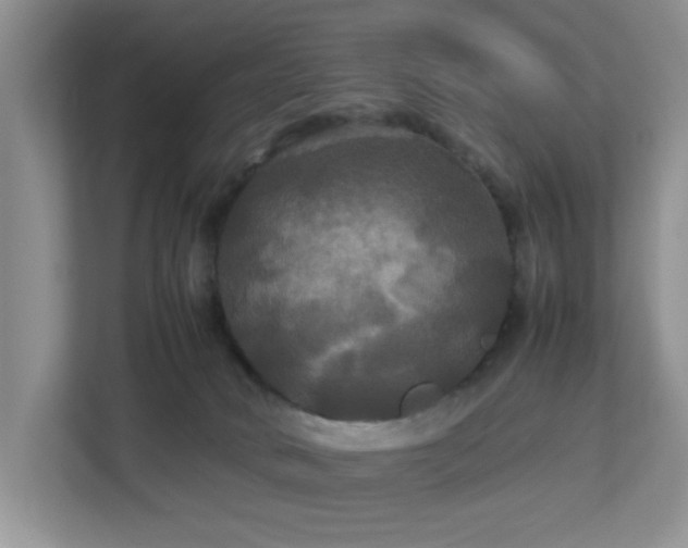 X0000113070034200909041107