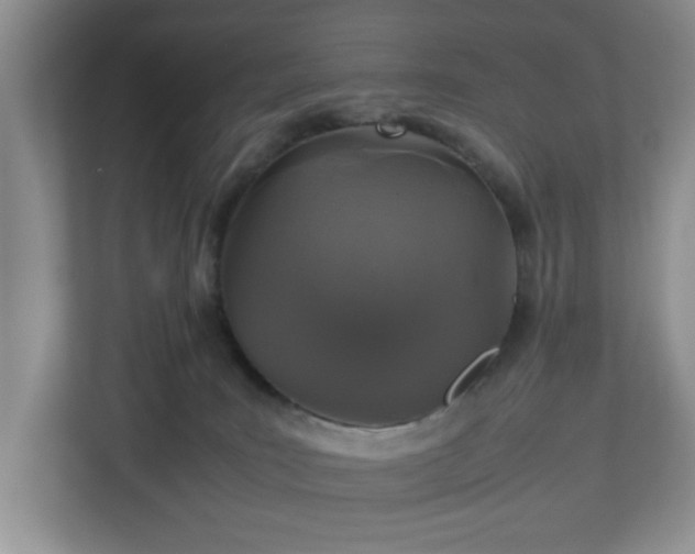 X0000113070035200909041106