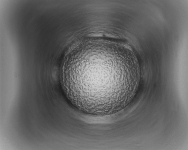 X0000113070036200909041106