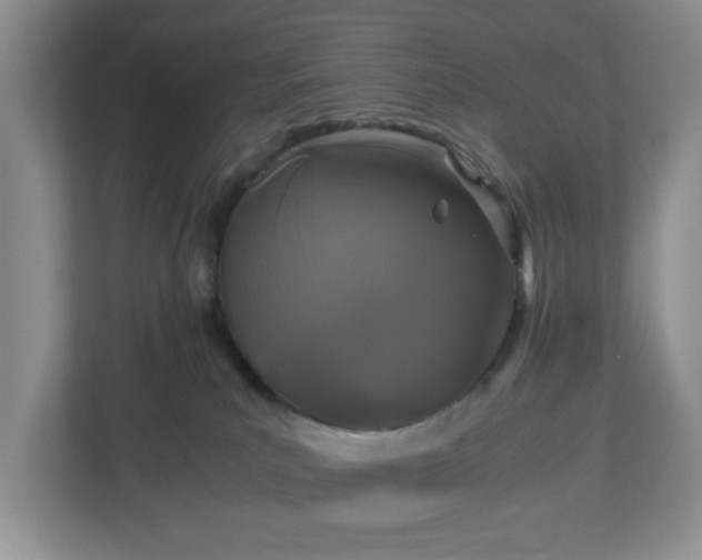 X0000113070039200909041106