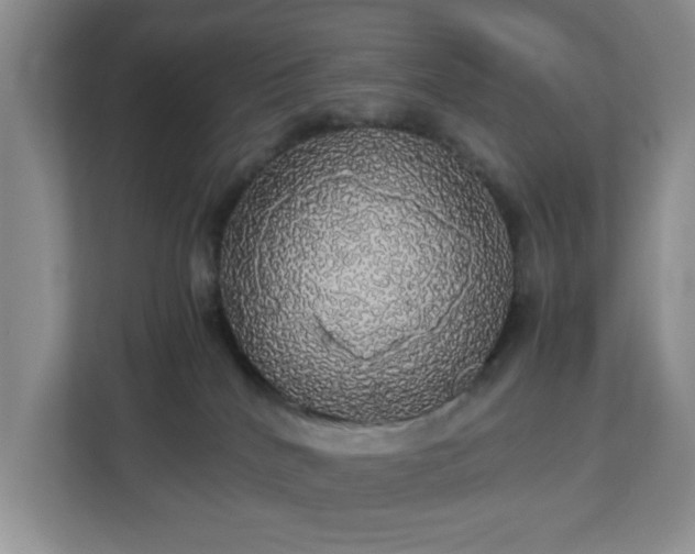 X0000113070040200909041106