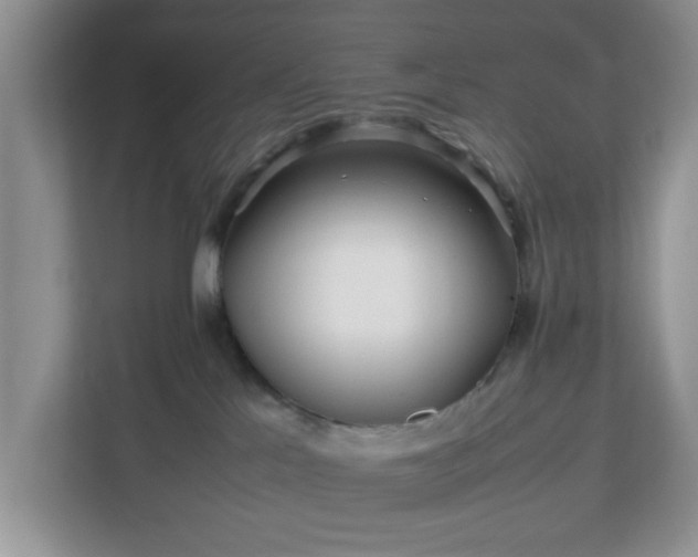 X0000113070041200909041106