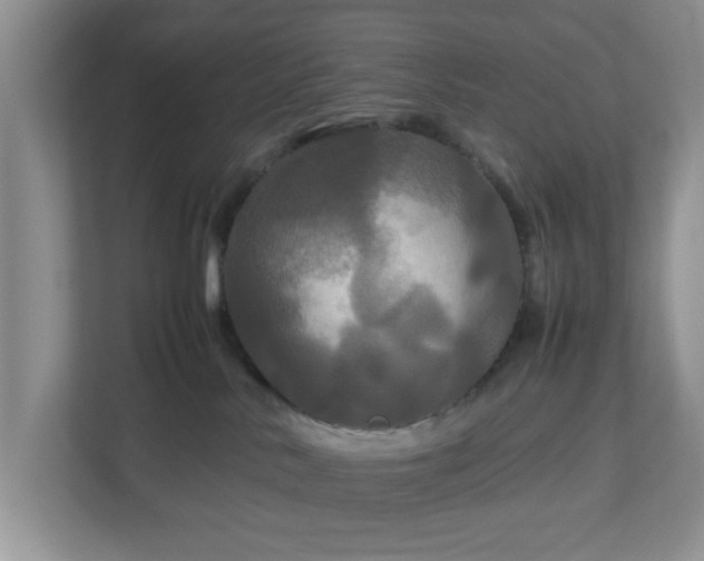 X0000113070042200909041106