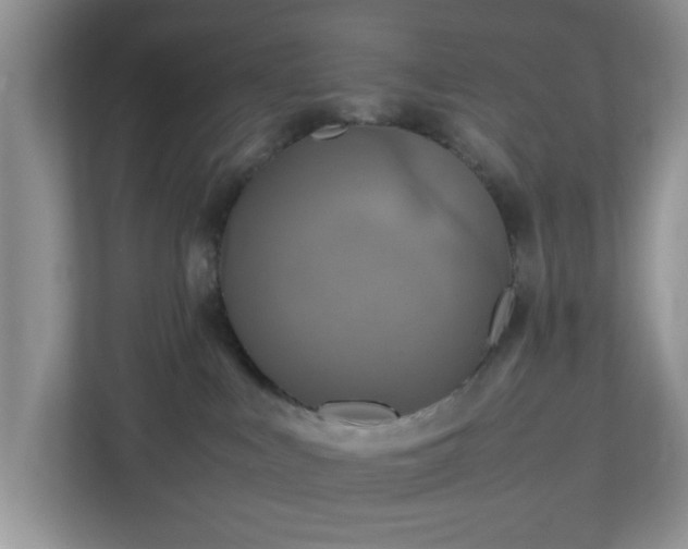 X0000113070043200909041106