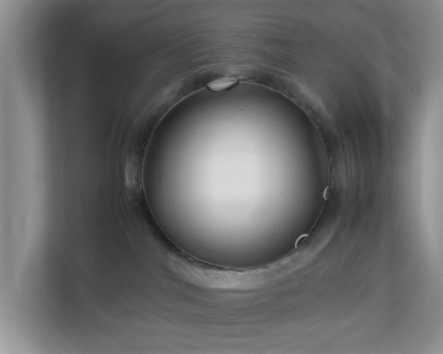 X0000113070044200909041106