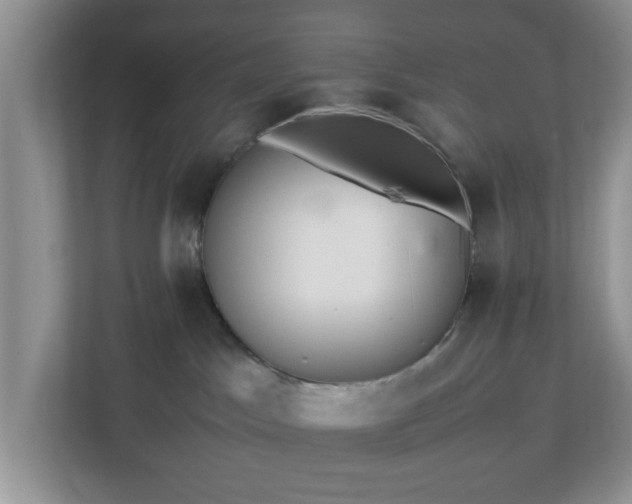 X0000113070045200909041106