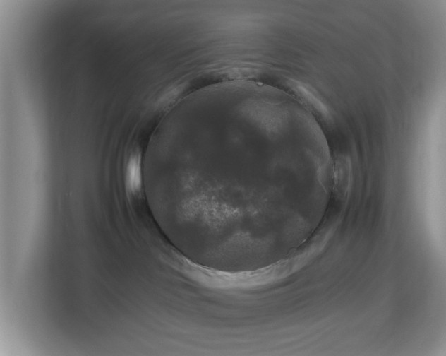 X0000113070046200909041106