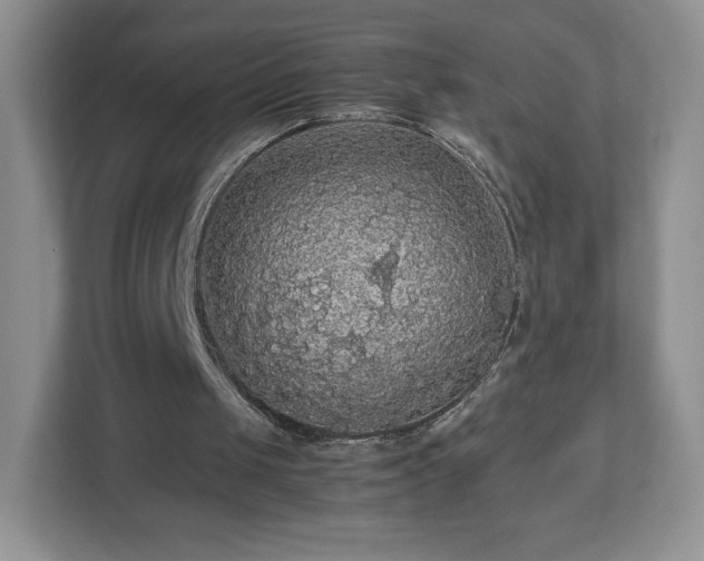 X0000113070049200909041106